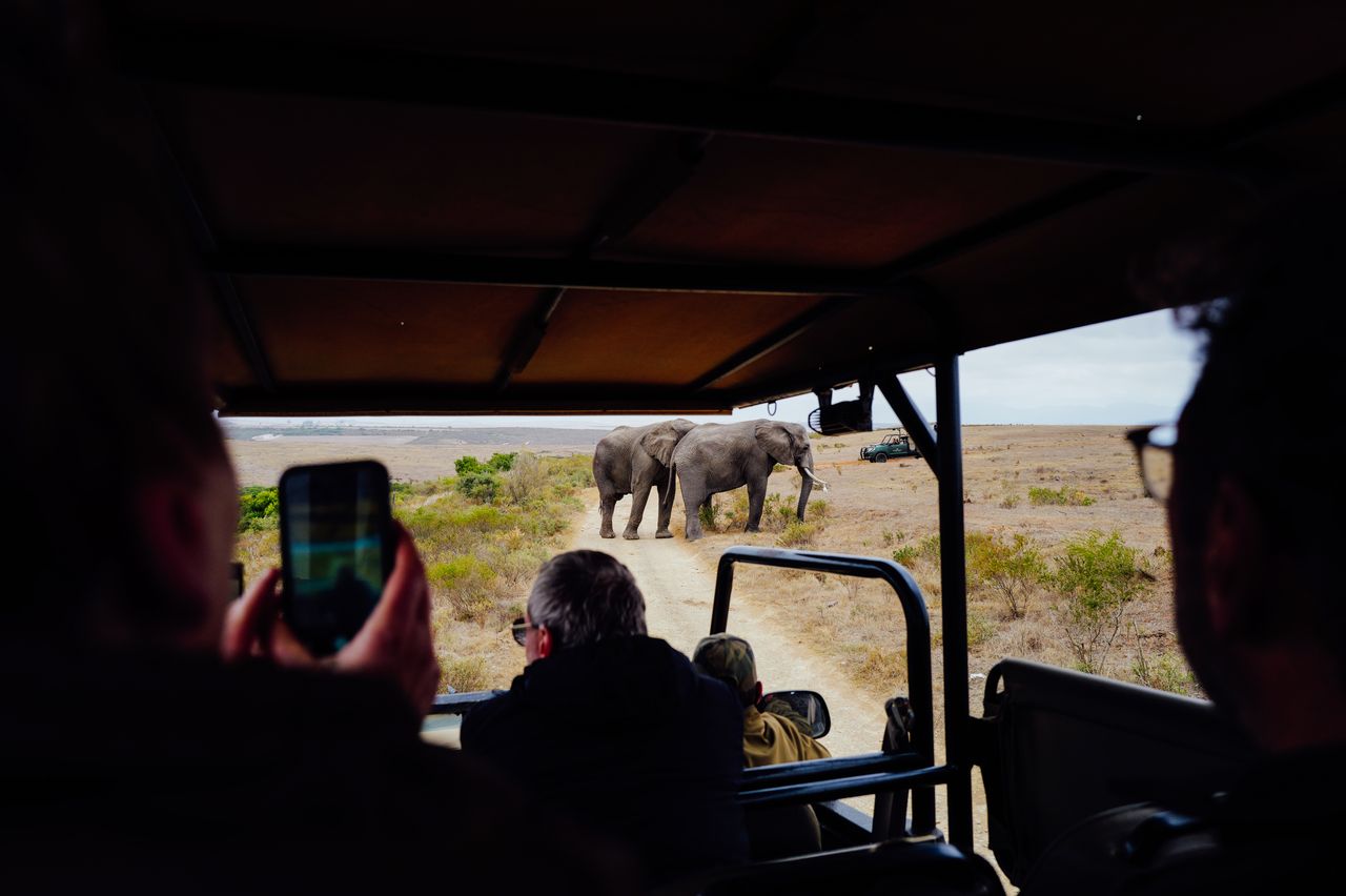 Uma Safari e uma Semana de Praia em Moçambique Não É Uma Concessão — É o Ponto Todo